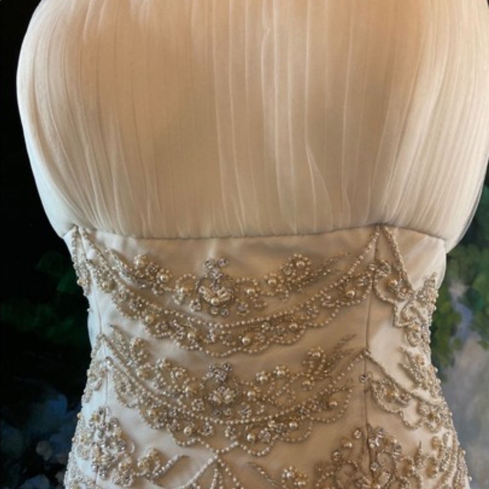 Wedding dress, purchased from Tradesy i never used. Went with another dress.